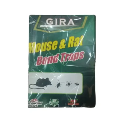 چسب موش کتابی سبز