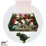 تخم دایناسور 12 عددی