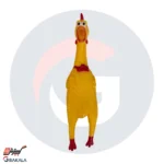 مرغ نالان